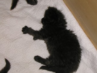 1_1M�dchen_26_6_09