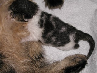 1_1_M�dchen_15_1_1004