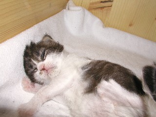 2_2_M�dchen _22_1_10