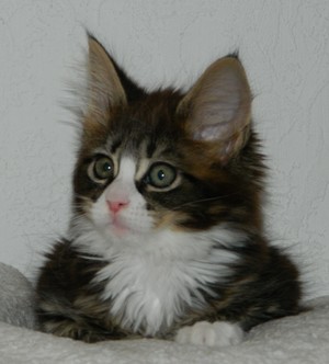 H2_M�dchen_250512102