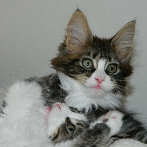 Hiska-Bella-H1M�dchen-090620121