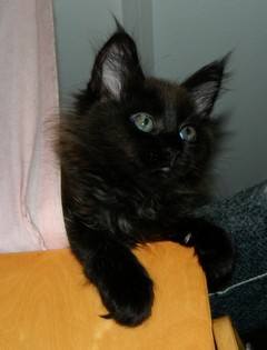 I-M�dchen-010620121