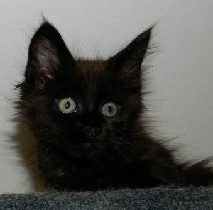 I-M�dchen-0106201277