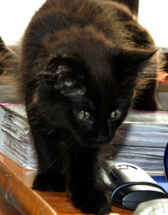 I-M�dchen-060620124