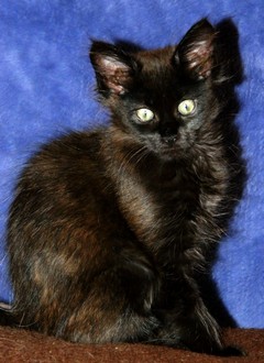 I-M�dchen-090620121