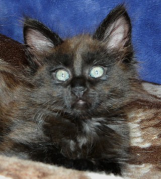 I2_M�dchen_2505121