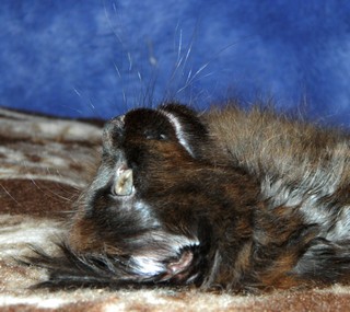 I3_M�dchen_2505122