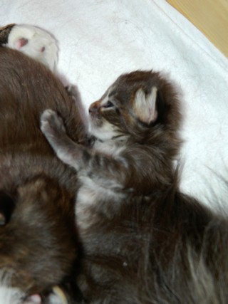 M�dchen1 13 Tage alt