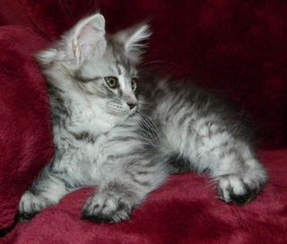 M�dchen  0308201411