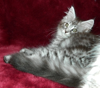 M�dchen  030820144