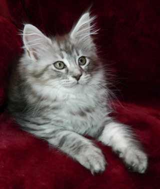 M�dchen  030820148