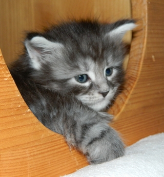 M�dchen  140620148