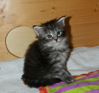 M�dchen  140620149