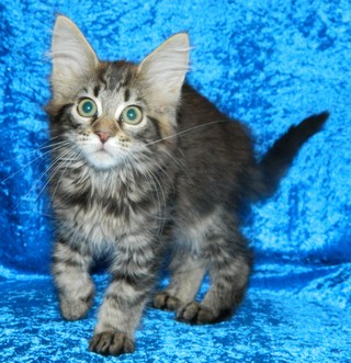 M�dchen  1905201312