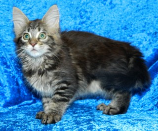 M�dchen  1905201314