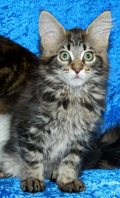 M�dchen  190520135