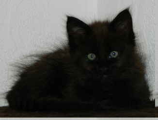 I1_M�dchen_2505121