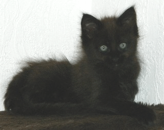 I1_M�dchen_2505123