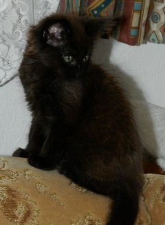 I3_M�dchen_2505121